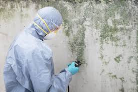 Professional Mold Prevention & Removal  in Aliceville, AL